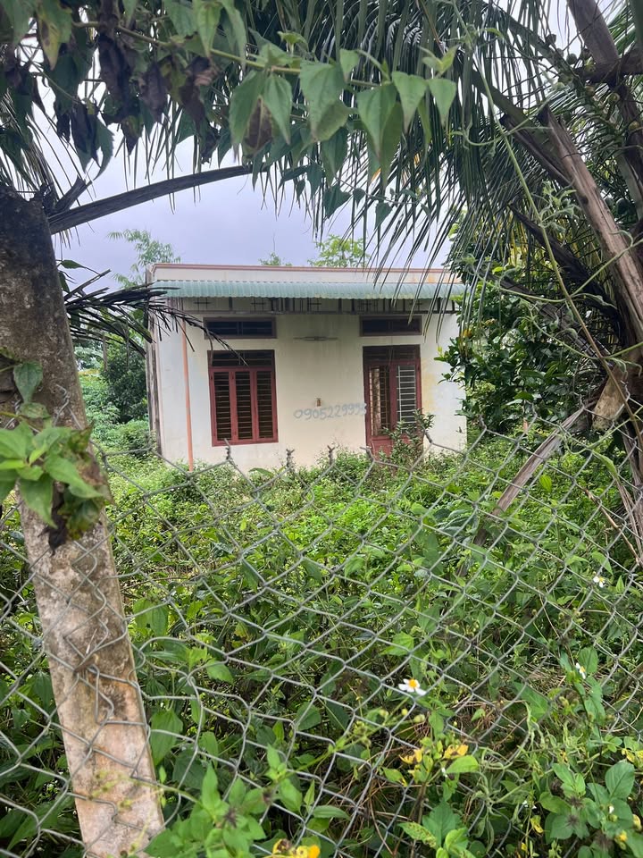 Đất thổ cư 310m² Thống Nhất Buôn Hồ giá 3.72 tỷ - Cơ hội vàng cho đầu tư!