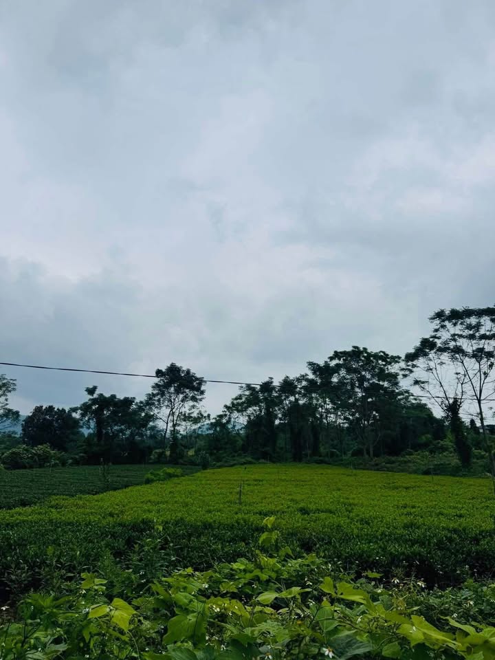 Đất du lịch Suối Đá, Quân Chu 3200m² - Tiềm năng phát triển mạnh mẽ!