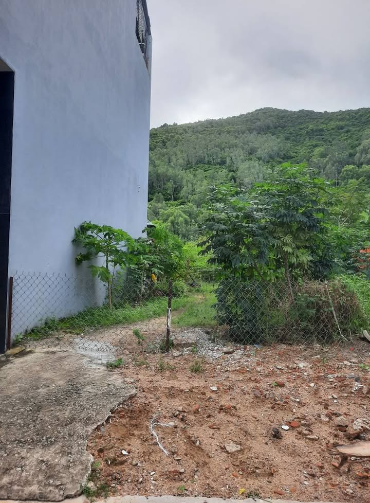 Đất mặt tiền đường Chế Lan Viên, phường Ghềnh Ráng, 85m² giá 6 tỷ - Đầu tư lý tưởng!