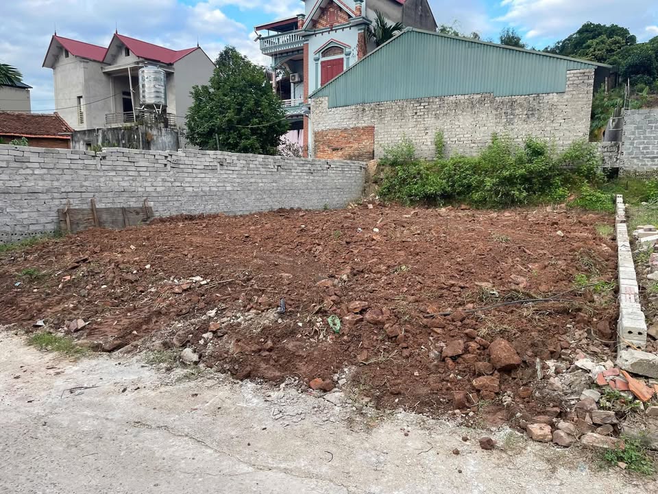 Đất nền Tân Liễu Yên Dũng 120m² giá 1.6 tỷ - Nhanh tay sở hữu!