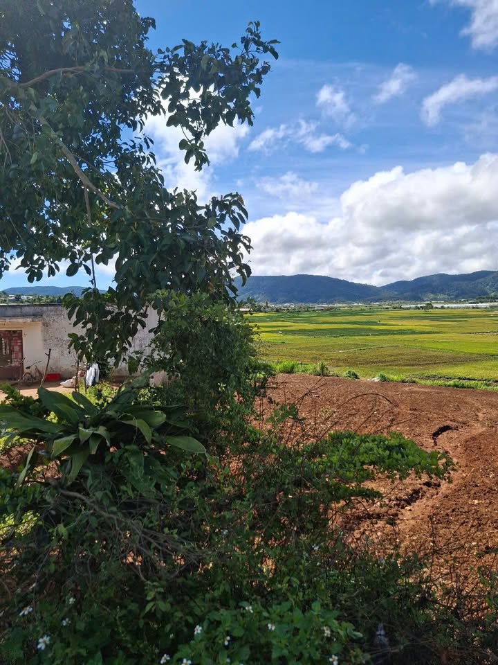 Đất thổ cư Quảng Lập, Đơn Dương 3,5 sào giá chỉ 2,2 tỷ - Đầu tư sinh lời ngay!