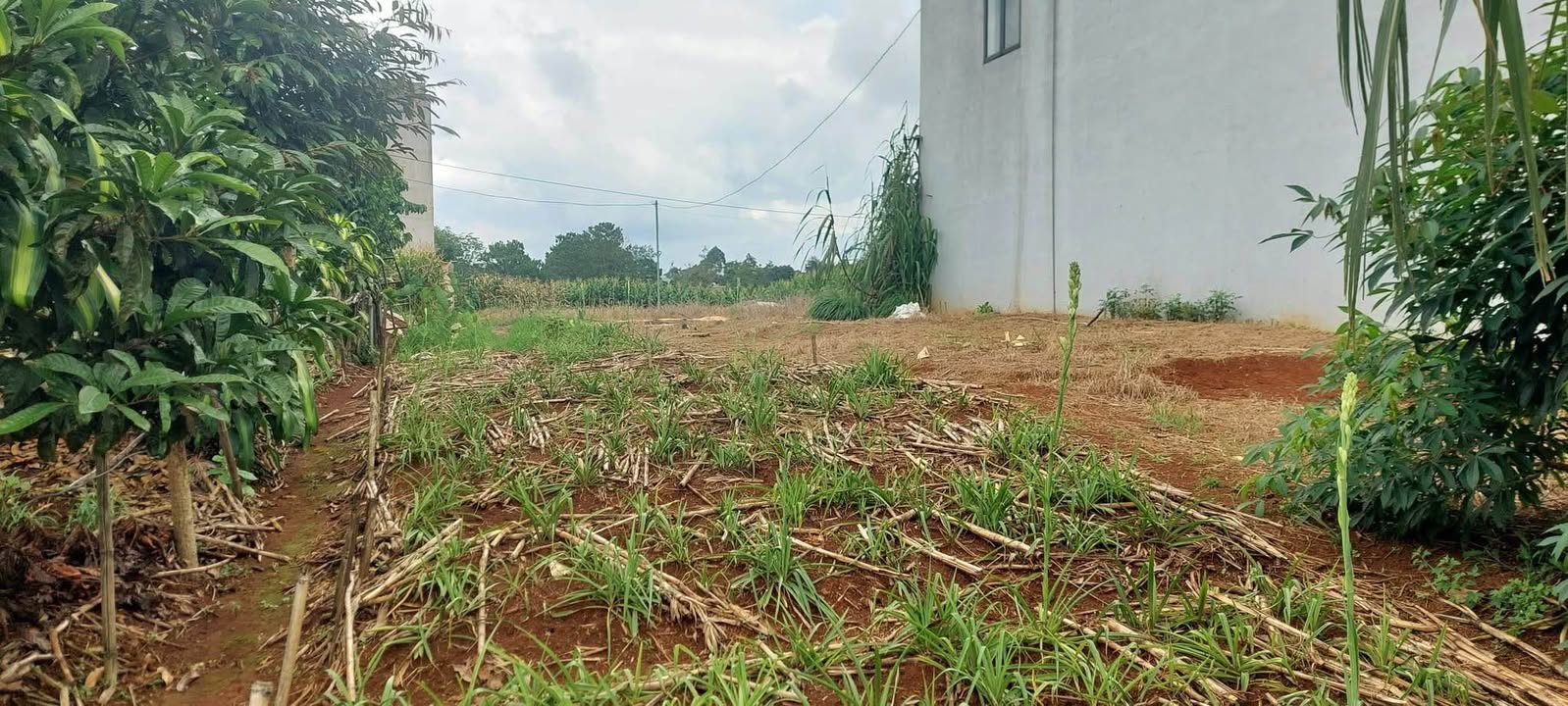 Đất nền Trần Quang Khải Bảo Lộc 210m² giá 1.6 tỷ - Vị trí đẹp, tiện ích đầy đủ!