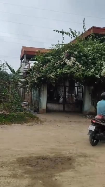 Đất nền khu 1 Chu Hoá 200m² giá 1 tỷ - Mặt tiền 10m, đường thông ô tô tránh!