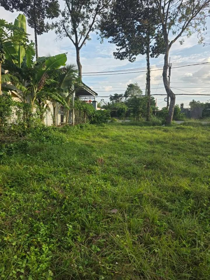 Đất bán mặt tiền Cây Trôm Mỹ Khánh 255m² giá 2.25 tỷ - Kinh doanh sinh lời!