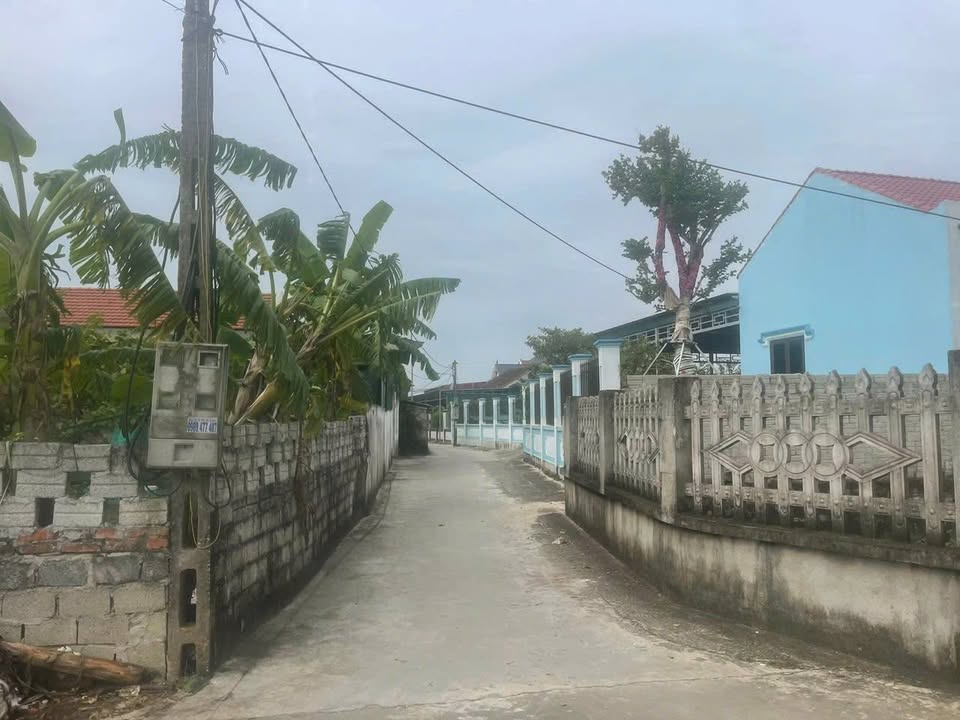 Đất nền Dân Lý, Triệu Sơn 150m² giá 500 triệu - Cơ hội đầu tư hấp dẫn!