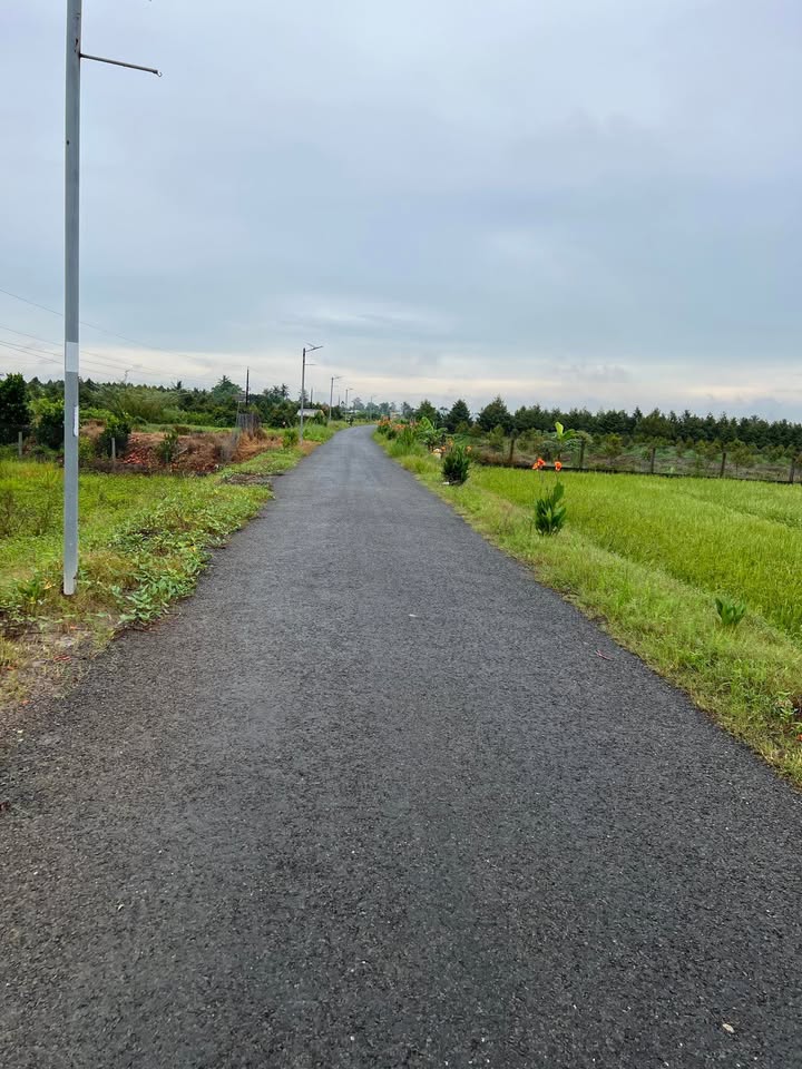 Đất 2 mặt tiền xã Nhơn Phú, huyện Mang Thít, 1.927m² - Cơ hội đầu tư giá tốt!