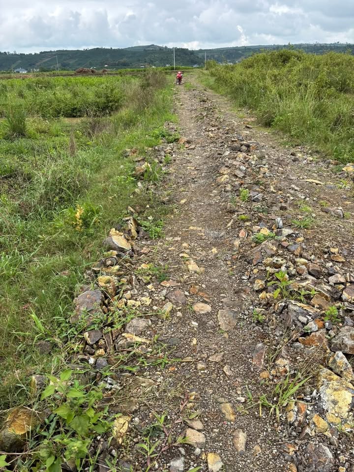 Đất nền Tân Văn, Lâm Hà 540m² giá 430 triệu - Đầu tư sinh lời ngay!