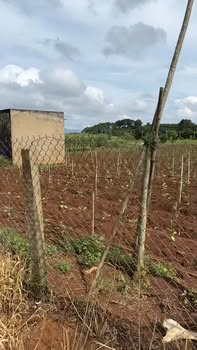 Đất nền Tân Hà Lâm Hà 16,600m² giá 9.6 tỷ - Đường thông 3 mặt tiện lợi!