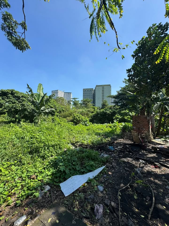 Đất kho bãi Thủ Đức 4000m² giá 24 tỷ - Cơ hội đầu tư lý tưởng!