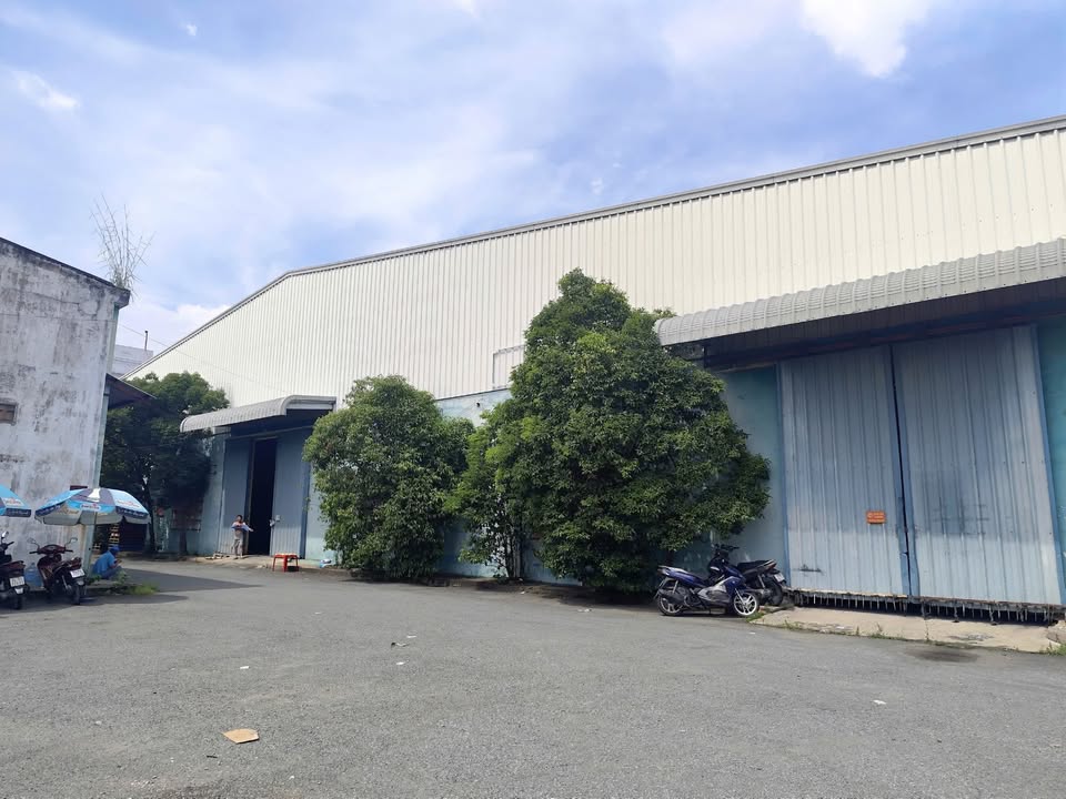 Cho thuê xưởng sản xuất 8000m² KCN Tân Bình - Vị trí giao thông thuận lợi!