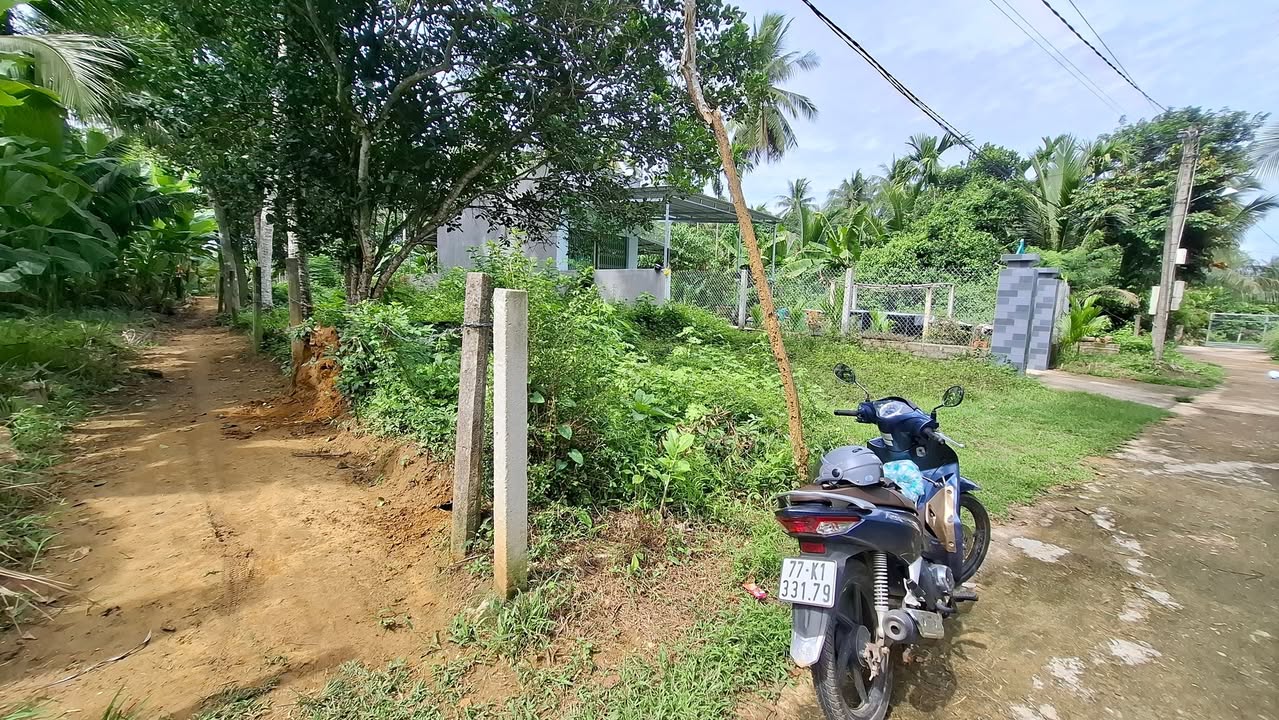 Đất nền khu phố Lại Khánh Tây, phường Bồng Sơn, 212m² giá chỉ 300 triệu - Đầu tư sinh lời ngay!