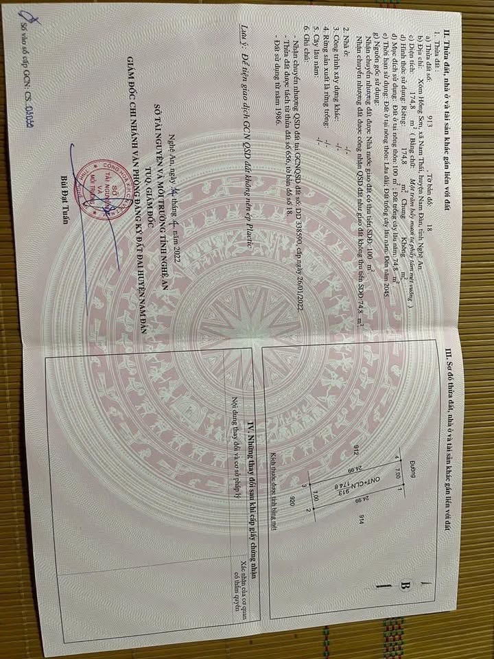 Đất nền Nam Đàn 174m² gần Quốc lộ 46 - Cơ hội đầu tư tuyệt vời!