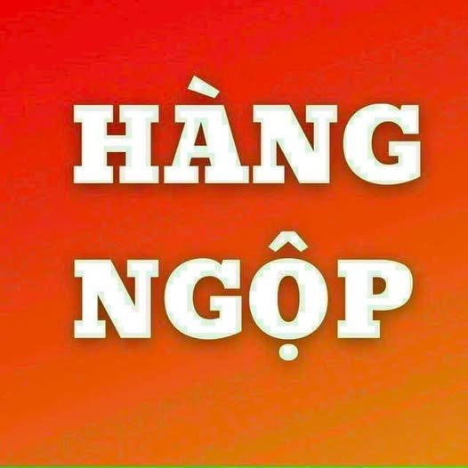 Đất thổ cư Phường Bảo Vinh 125m² giá chỉ 680 triệu - Cơ hội vàng cho nhà đầu tư!