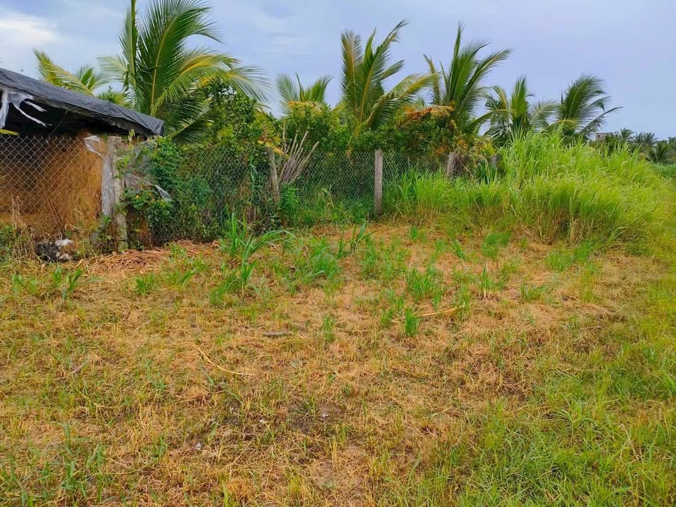 Đất vườn 500m² xã Vĩnh Bình, Gò Công Tây - Giá 280 triệu, đầu tư sinh lời!