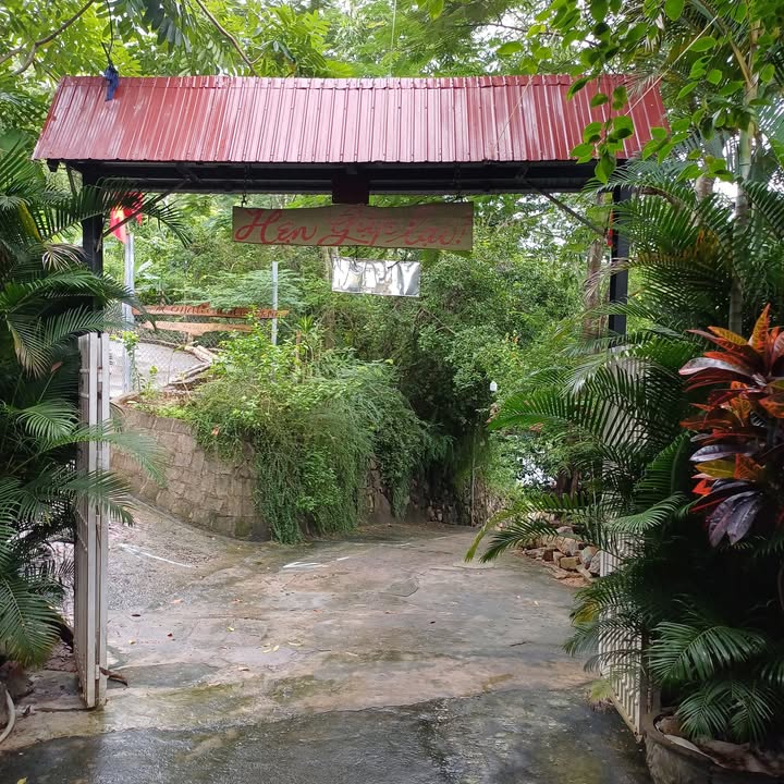 Nhà bán phường Ghềnh Ráng, đường Hàn Mặc Tử, 200m² chỉ 900 triệu - Đầu tư lý tưởng!