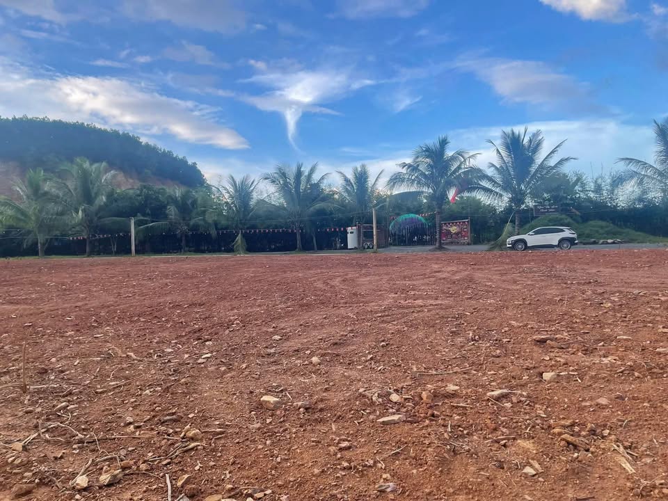 Bán lô đất farm 3850m² xã Hòa Ninh - Sổ đỏ chính chủ, giá chỉ 3.6 tỷ!