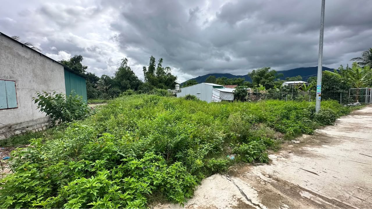 Đất thổ cư Suối Cát Cam Lâm 381m² giá 1.7 tỷ - Đầu tư sinh lời ngay!