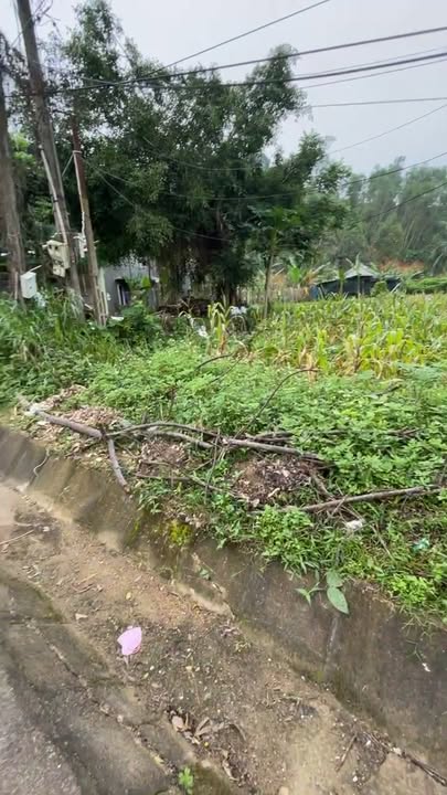 Đất mặt đường Quốc lộ 15A, Tân Kỳ, 340m² - Đầu tư sinh lời ngay!