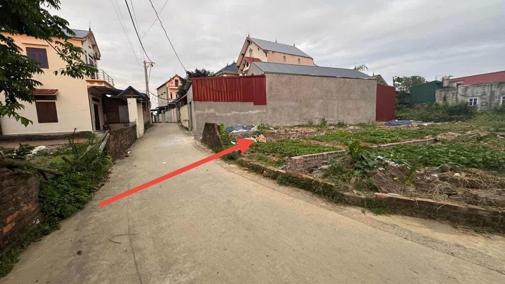 Đất thổ cư Tân Minh, Sóc Sơn 100.5m² - Vị trí tiềm năng tăng giá cao!