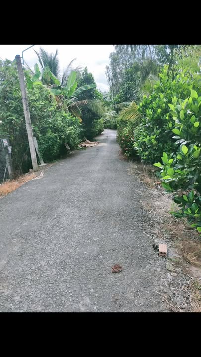 Đất nền Ba Sao, Đồng Tháp 200m² giá thỏa thuận - Hướng Chánh Nam, gần sông lớn