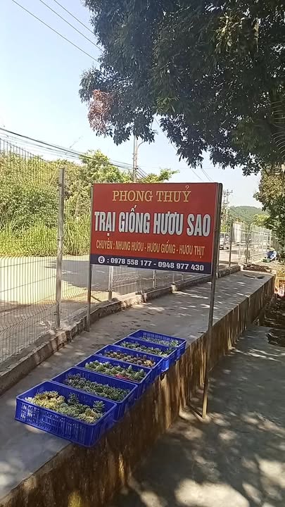 Đất công sân golf Tràng An Ninh Bình 800m² - Chính chủ bán gấp!