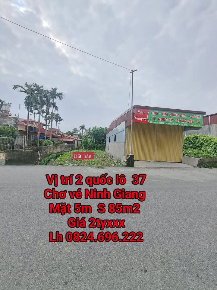 Đất nền Ninh Giang, Hải Dương 85m² giá 2 tỷ - Đầu tư sinh lời tốt!