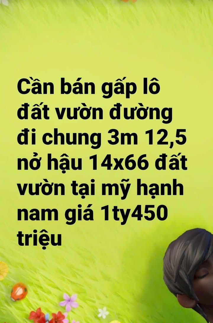 Đất vườn Mỹ Hạnh Nam 884m² giá 1.45 tỷ - Cơ hội đầu tư tuyệt vời!