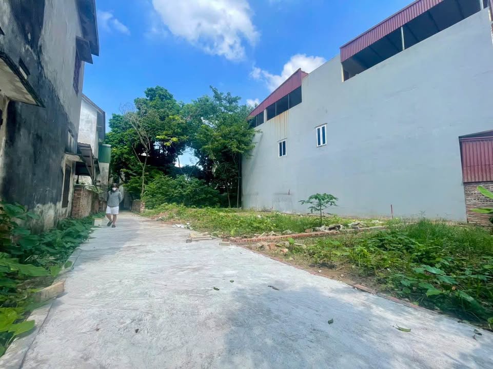 Đất nền 50m² tại Đức Hiệp, Xuân Lâm giá chỉ 1.5 tỷ - Cơ hội sở hữu tuyệt vời!