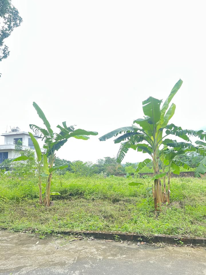 Đất nền 200m² tại Nông Lâm - Phú Cát - Đường rộng ô tô tránh, giá thỏa thuận!