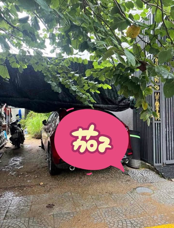 Lô đất biển Sơn Trà Đà Nẵng 90m² giá 14.3 tỷ - Cơ hội đầu tư hấp dẫn!