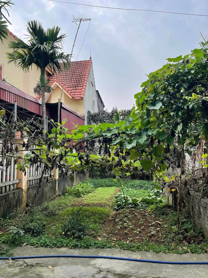 Đất bán Trung Sơn Trầm 83m² giá 1 tỷ - Đường ô tô vào tận nơi!