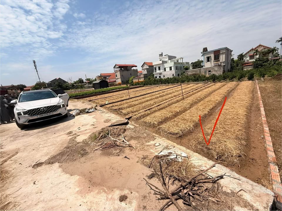 Lô đất đẹp tại Minh Tân - Lương Tài 86m² giá 1.4 tỷ - Hướng Đông thoáng mát!