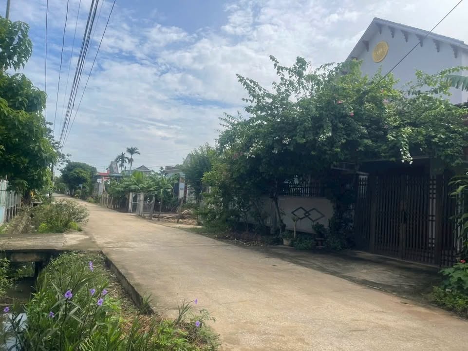 Đất nền Tượng Lĩnh, Nông Cống 192m² - Cơ hội đầu tư hấp dẫn!