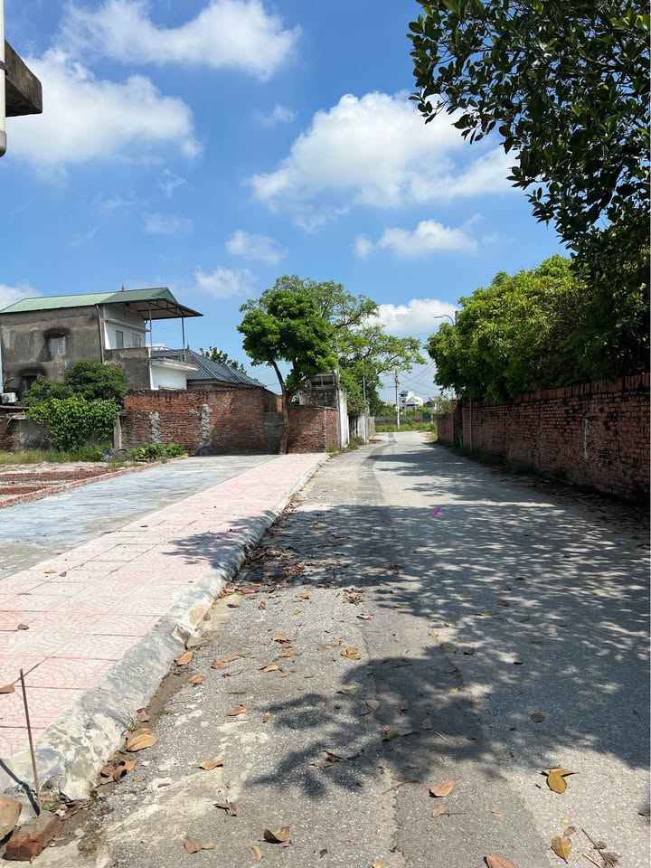 Đất nền chính chủ tại xã Thuận An, 100m² giá chỉ 5 tỷ - Đầu tư sinh lời ngay!