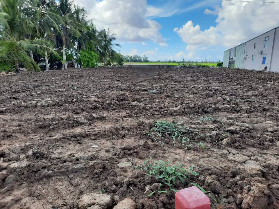 Đất nền Phú Lộc, Thạnh Trị, Sóc Trăng 1740m² giá 1.74 tỷ - Đầu tư sinh lời ngay!