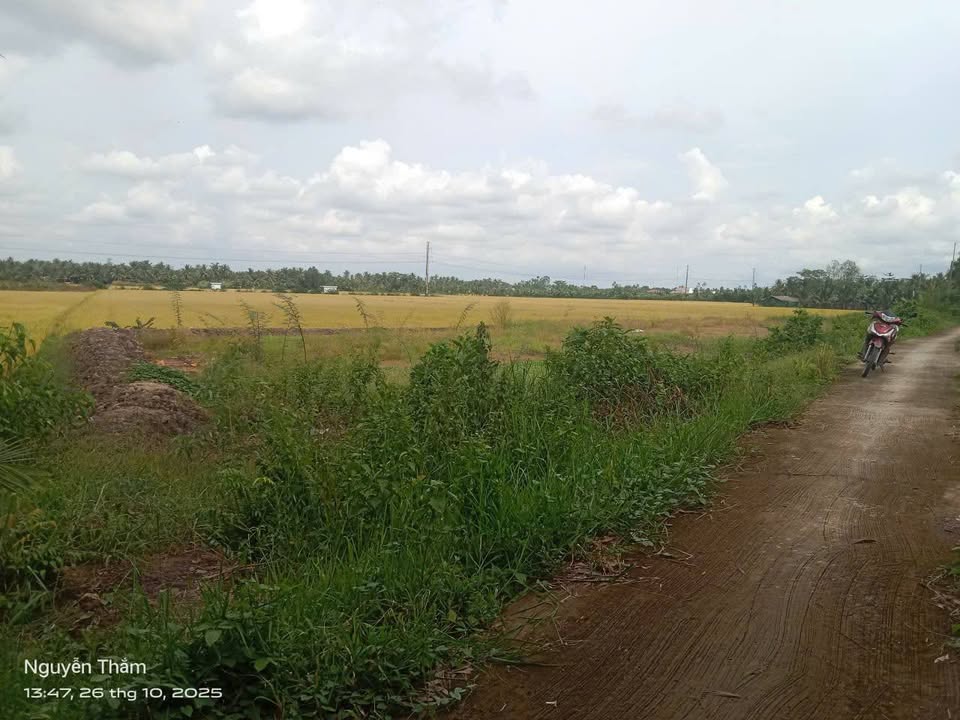 Đất nền thổ cư Tân Long Hội, Mang Thít 120m² giá chỉ 220 triệu - Cơ hội đầu tư hấp dẫn!