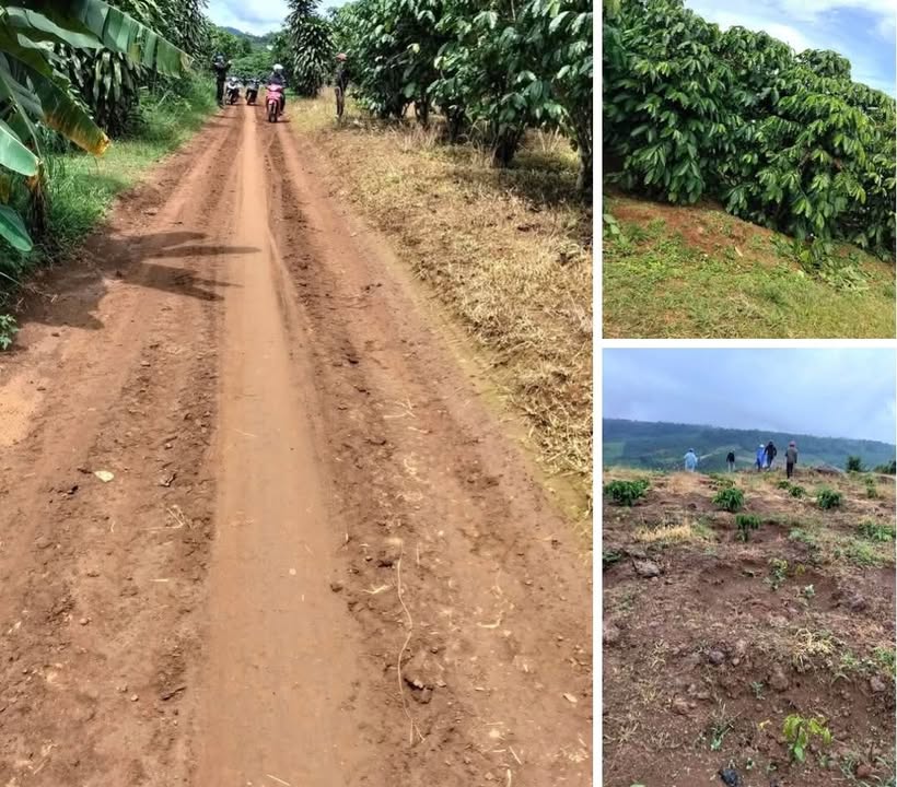 Đất nông nghiệp Lộc Tân, Bảo Lâm 32,000m² giá 3.2 tỷ - Đầu tư sinh lời ngay!