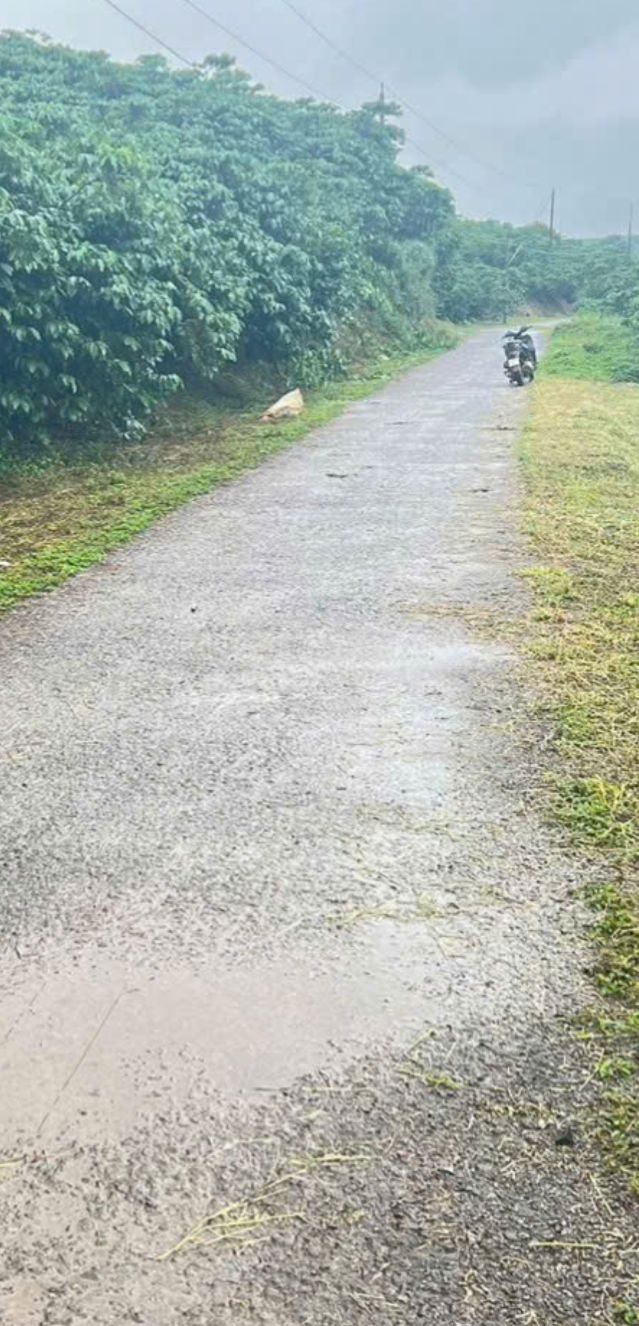 Đất nền Lộc Đức Bảo Lâm 12000m² giá 960 triệu - Đường nhựa thông thoáng!