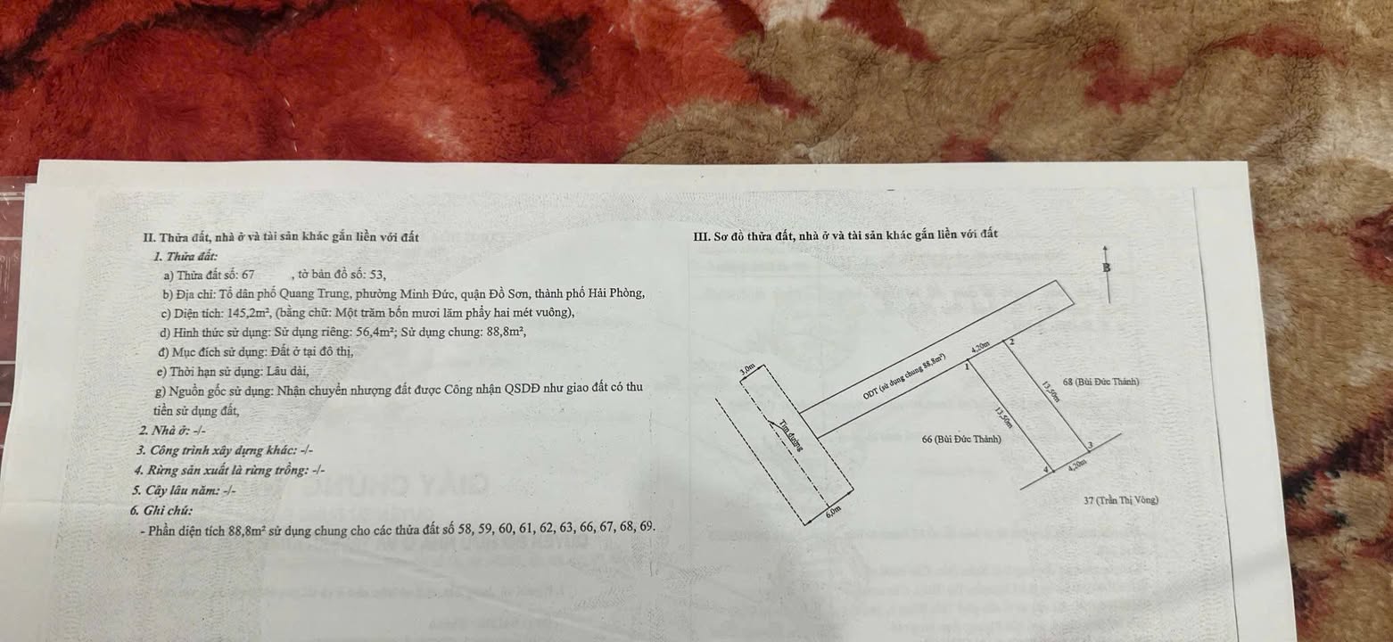 Nhà 3 tầng đầy đủ nội thất tại TDP Quang Trung, Minh Đức, Đồ Sơn 56.4m² - Chính chủ bán gấp!