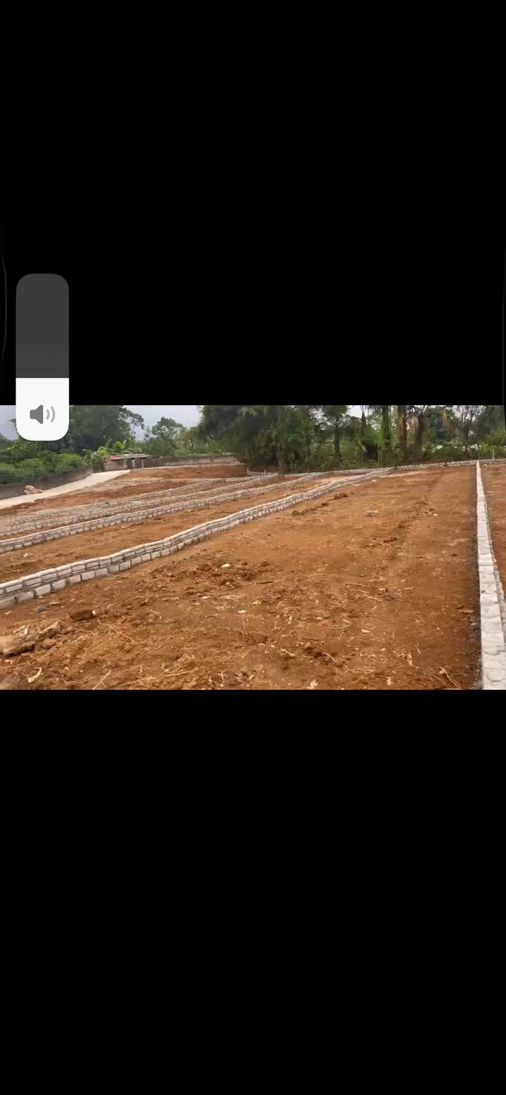 Đất Hoàng Khai 196m² giá chỉ 700 triệu - Sổ hồng chính chủ, thương lượng nhẹ!