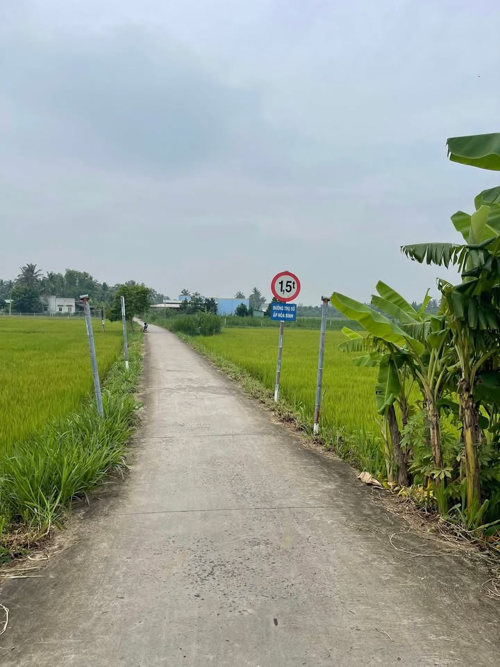 Đất nền xã Vĩnh Hựu Gò Công Tây 250m² giá 350 triệu - Đường ô tô tận nơi!