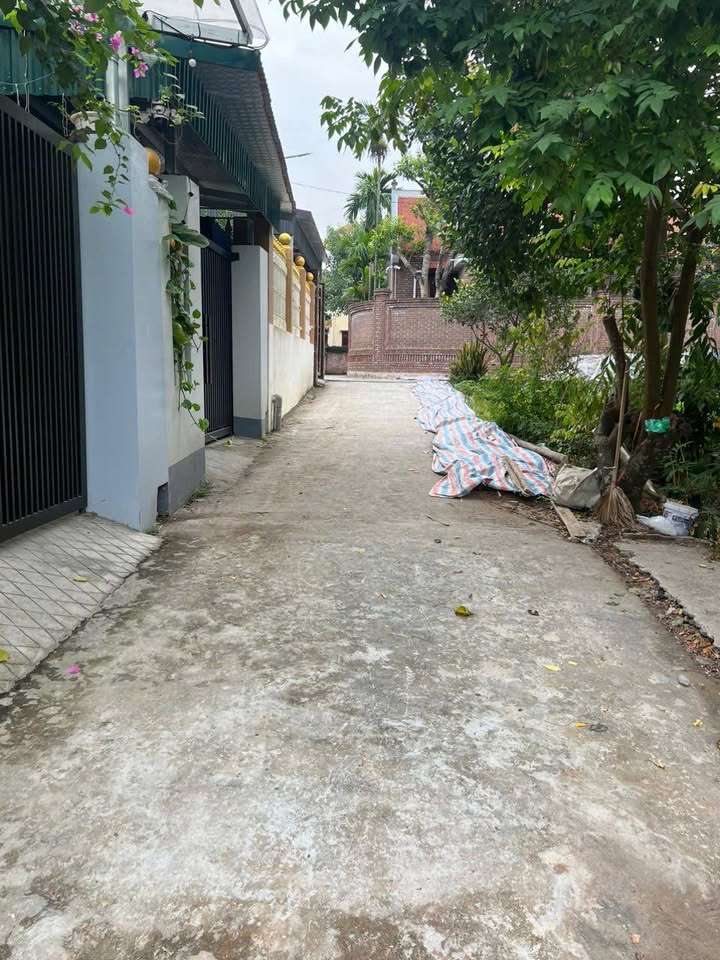 Đất nền Dữu Lâu Việt Trì 107m² giá 1.65 tỷ - Đầu tư sinh lời hấp dẫn!