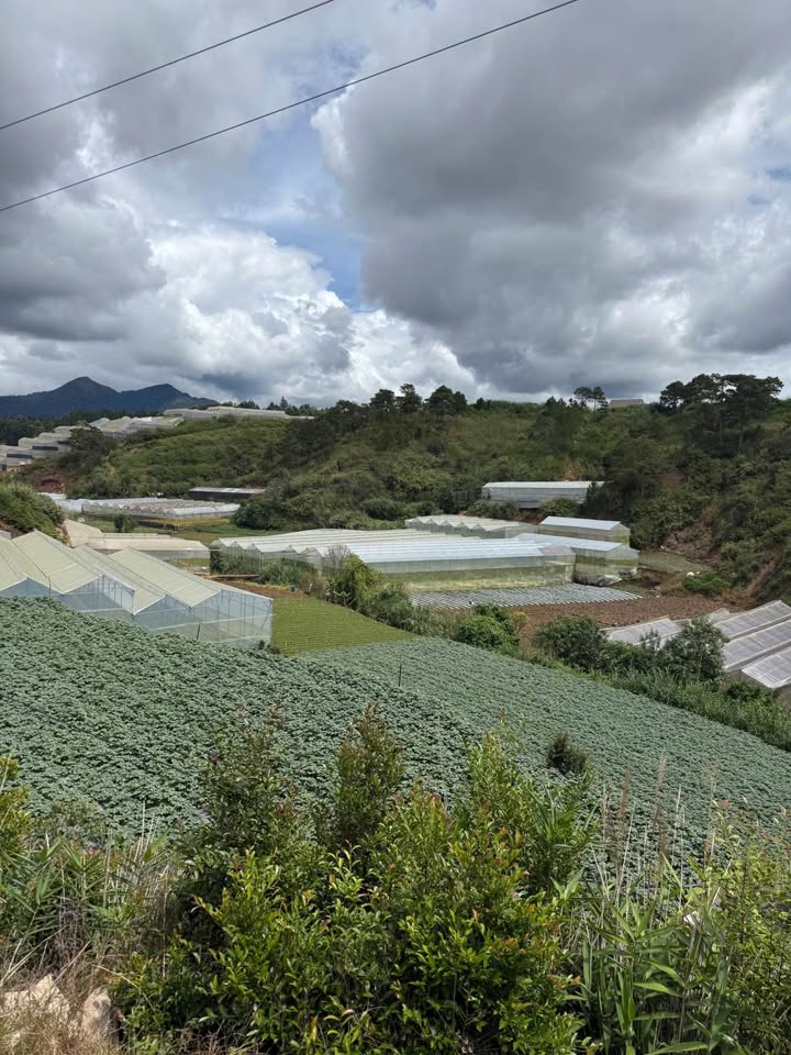 Đất đẹp Phước Thành, Đà Lạt 3600m² giá 13 tỷ - View rừng và suối chảy róc rách!