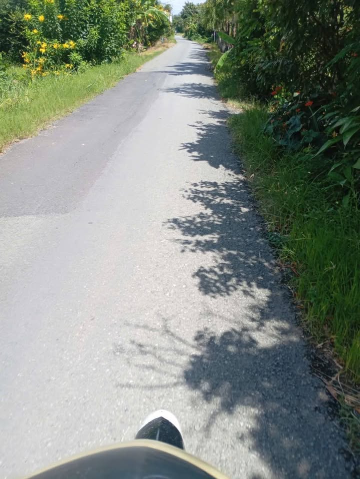 Đất lúa An Hoà Thủ Thừa 3000m² giá 2.7 tỷ - Mặt tiền nhựa xe 8 tấn