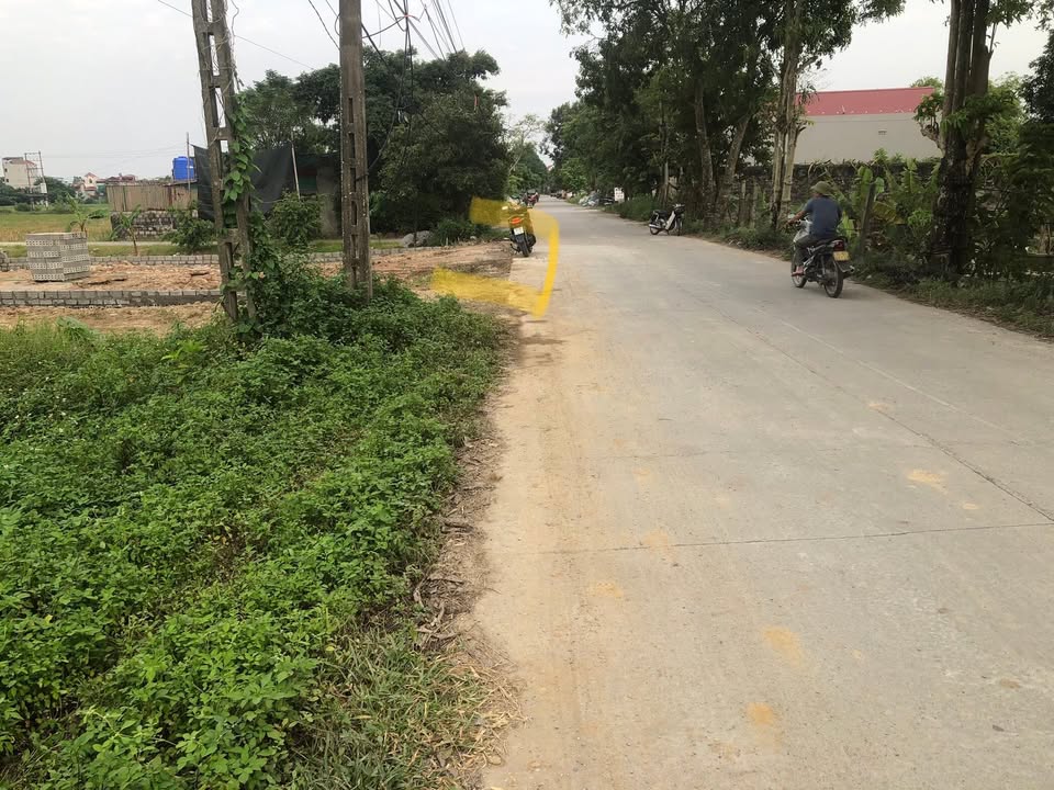 Đất Lương Ý, Bình Mỹ 165m² - Vị trí đắc địa, đầu tư sinh lời!