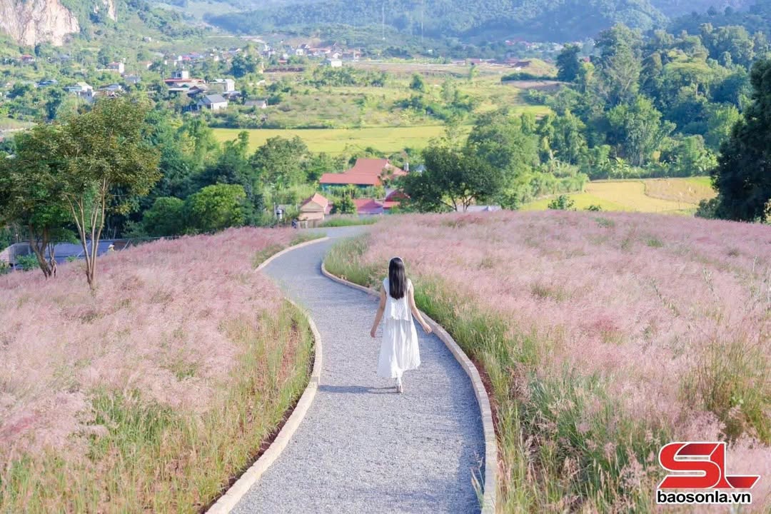 Đất mặt đường Quốc lộ 43 Mộc Châu 1131m² - Cơ hội đầu tư không thể bỏ lỡ!