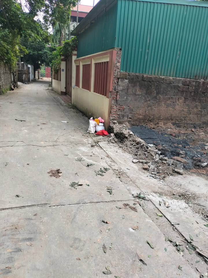 Đất nền Tế Tiêu, Thị Trấn Đại Nghĩa, 100m² giá 3 tỷ - Vị trí đẹp, tiện ích đầy đủ!