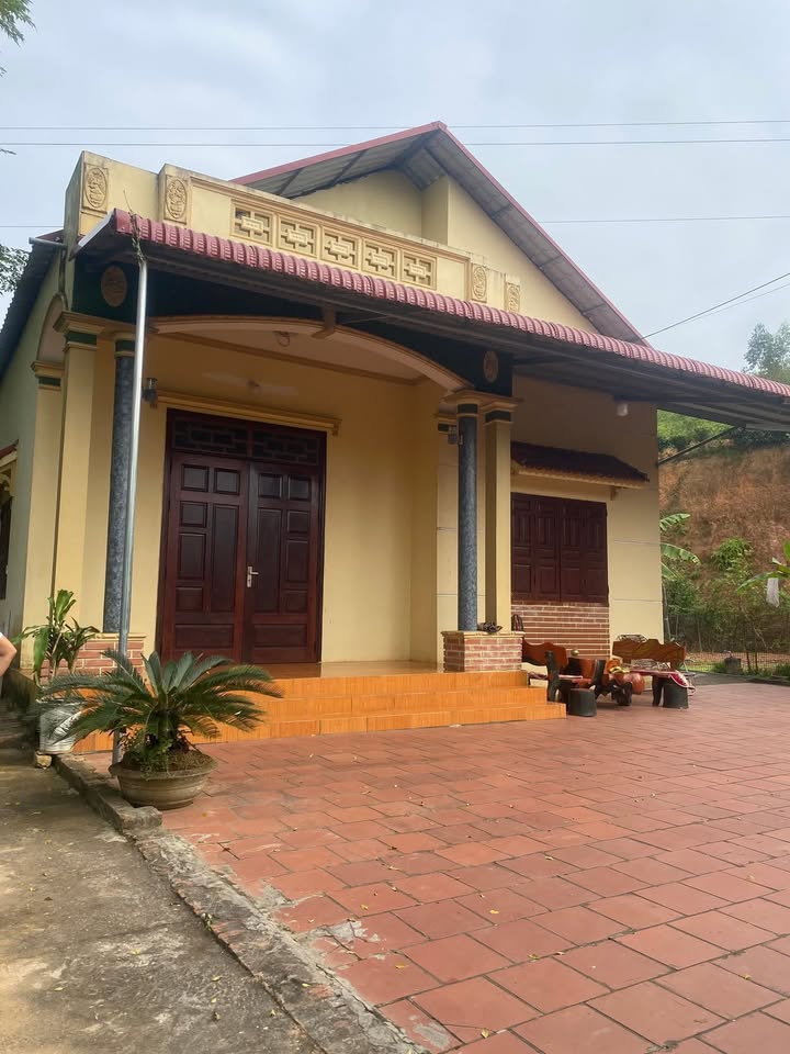 Lô đất Farm 14.200m² Thọ Văn - Tam Nông - Phú Thọ giá thỏa thuận - Nhanh tay sở hữu!