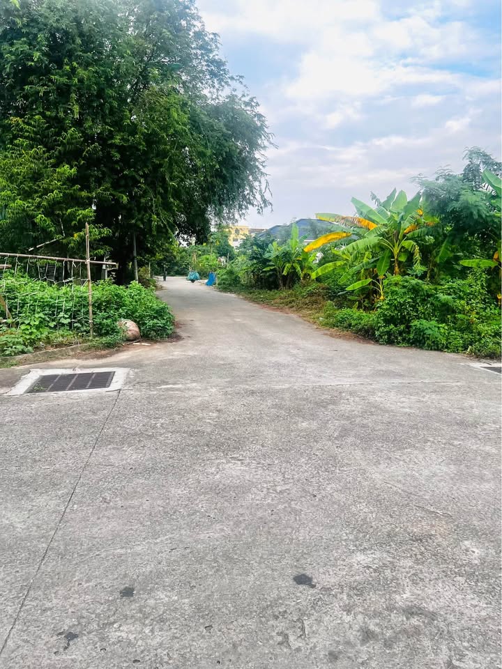 Đất nền Cổ Loan Hạ, Phúc Trì, 288m² giá chỉ 8.64 tỷ - Cơ hội đầu tư hấp dẫn!