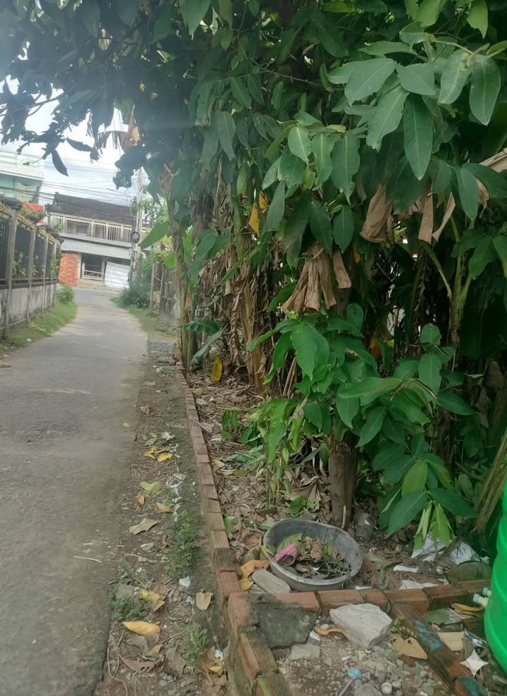 Đất nền An Phú Trung, Ba Tri, Bến Tre 81m² - Giá chỉ 400 triệu!